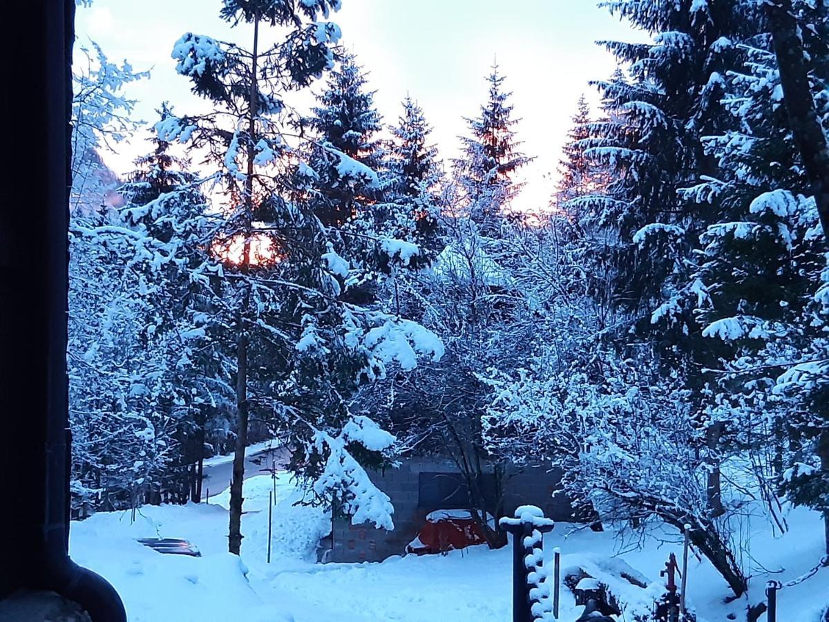 Ferienhaus Blommers Palfau Εξωτερικό φωτογραφία