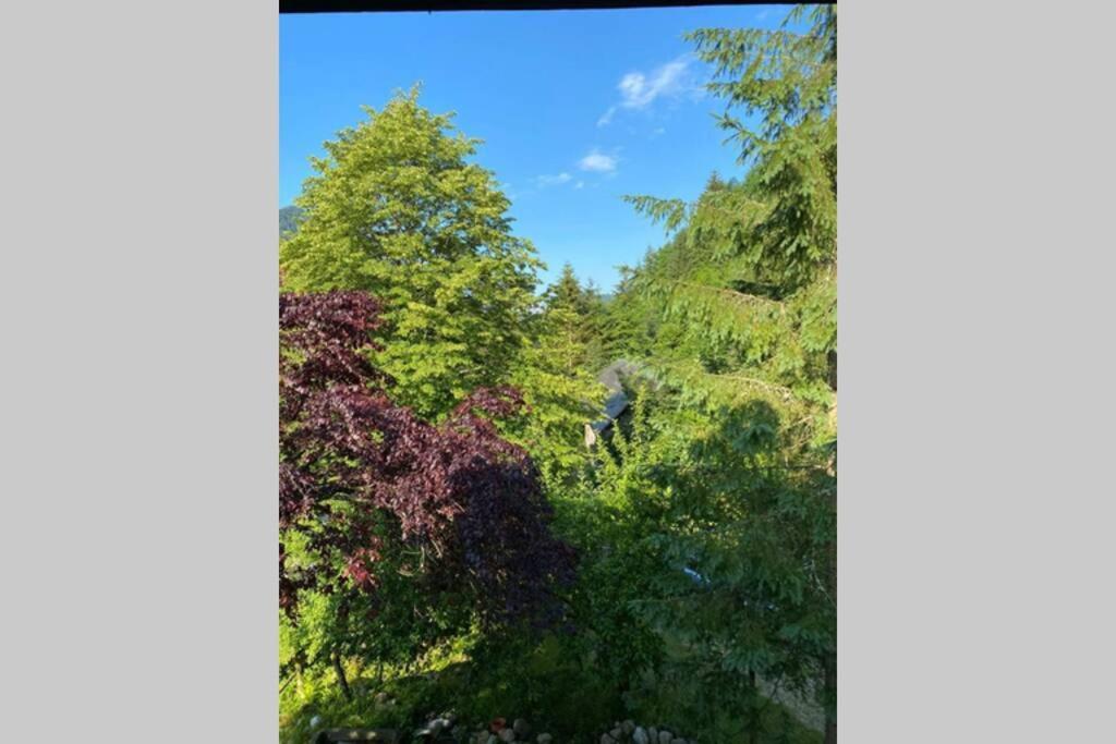 Ferienhaus Blommers Palfau Εξωτερικό φωτογραφία