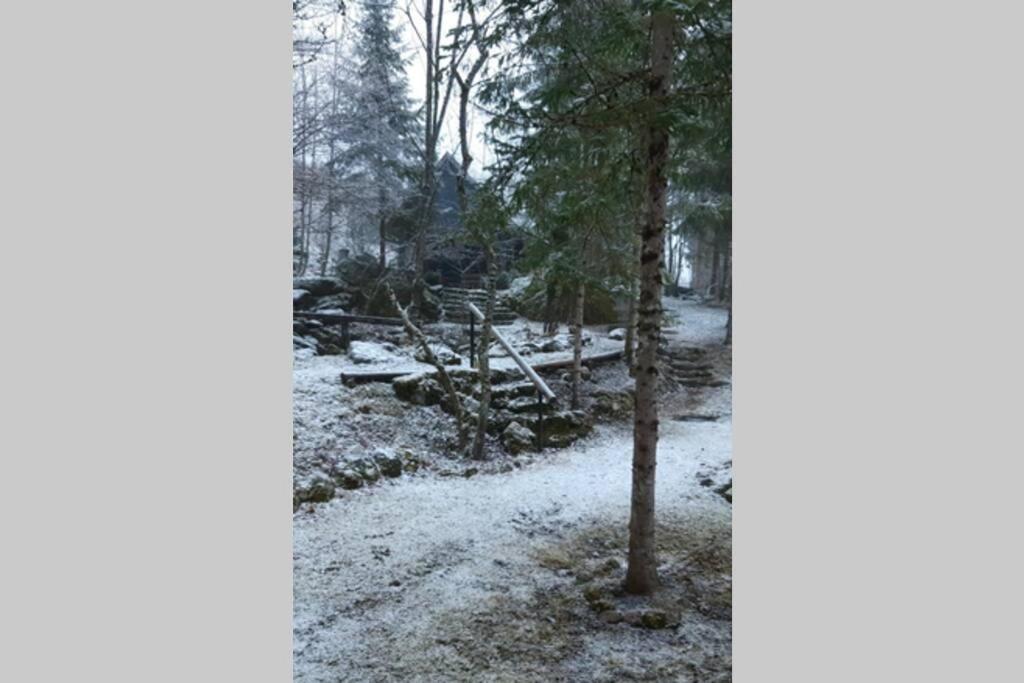 Ferienhaus Blommers Palfau Εξωτερικό φωτογραφία