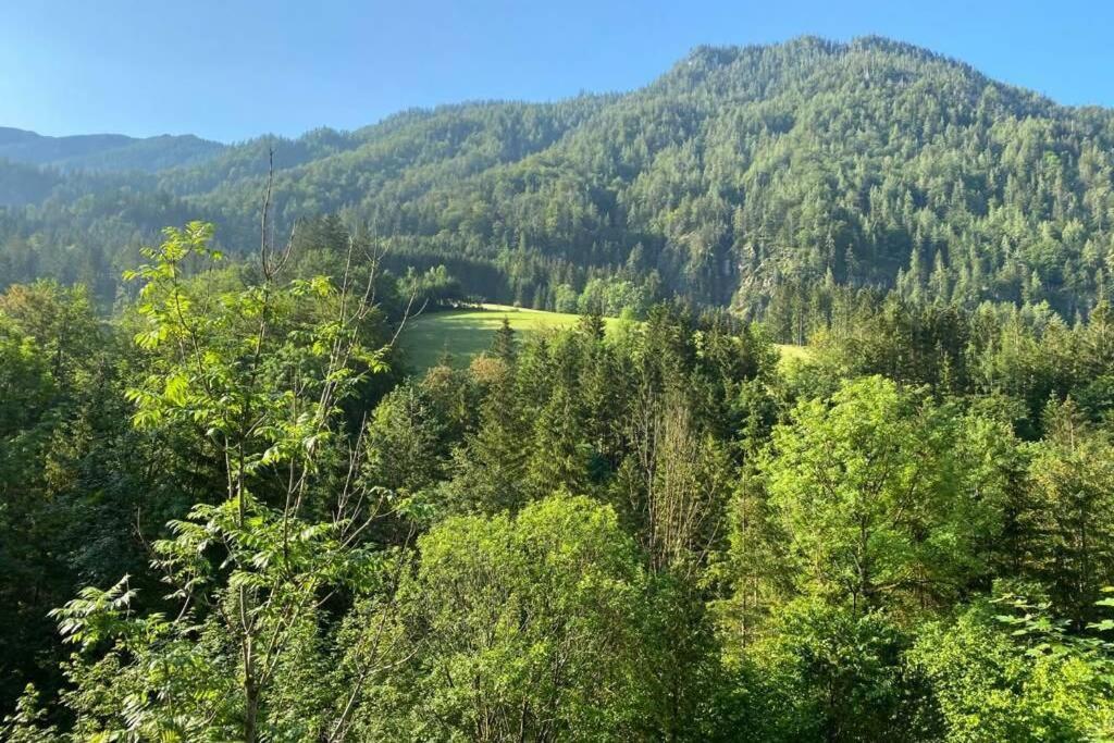 Ferienhaus Blommers Palfau Εξωτερικό φωτογραφία