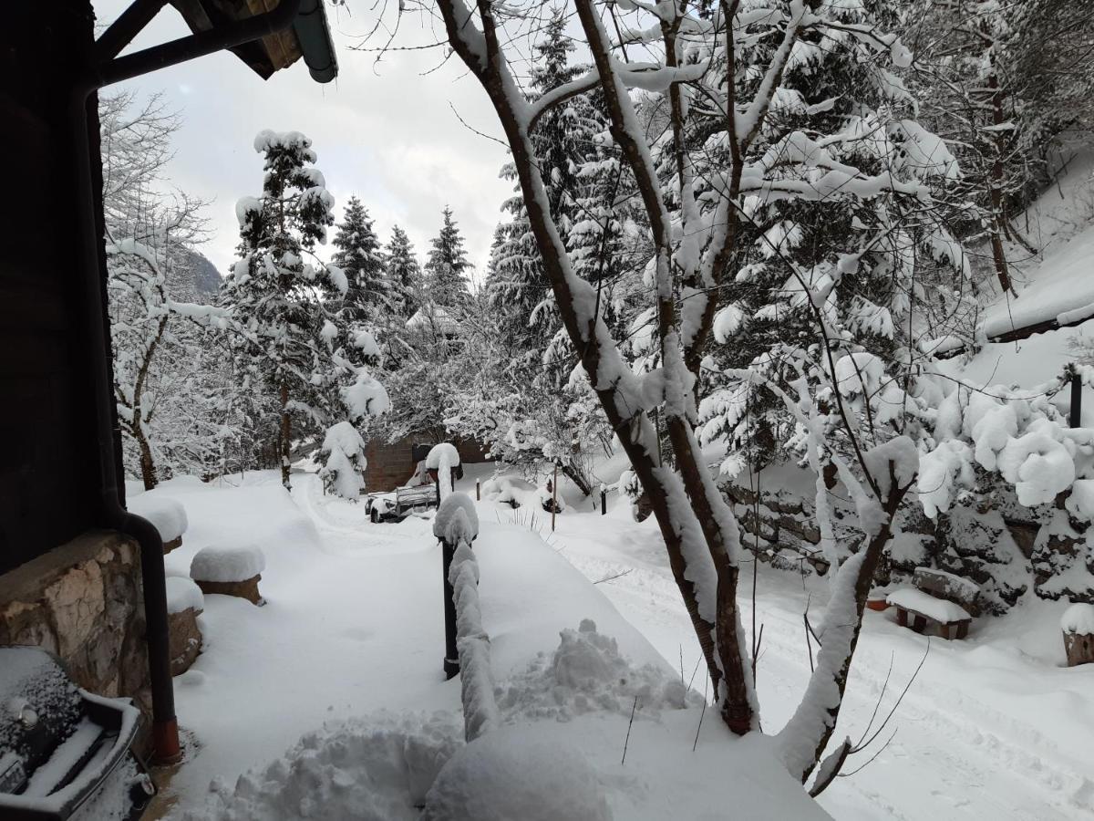 Ferienhaus Blommers Palfau Εξωτερικό φωτογραφία